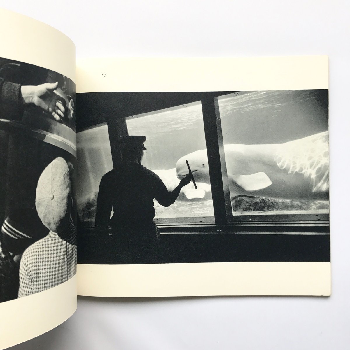 Title/ The Animals Author/ Garry Winogrand