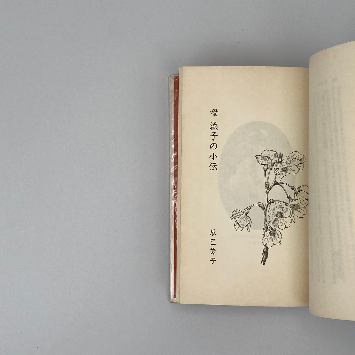 【希少・古書】『私の「風と共に去りぬ」』 辰巳浜子 Title/ 私の「風と共に去りぬ」 Author/ 辰巳浜子 | COWBOOKS