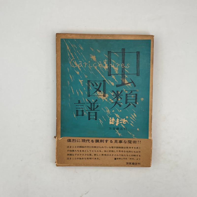 Title/ 虫類図譜 Author/ 辻まこと | COWBOOKS Title/ 虫類図譜 Author/ 辻まこと | COWBOOKS
