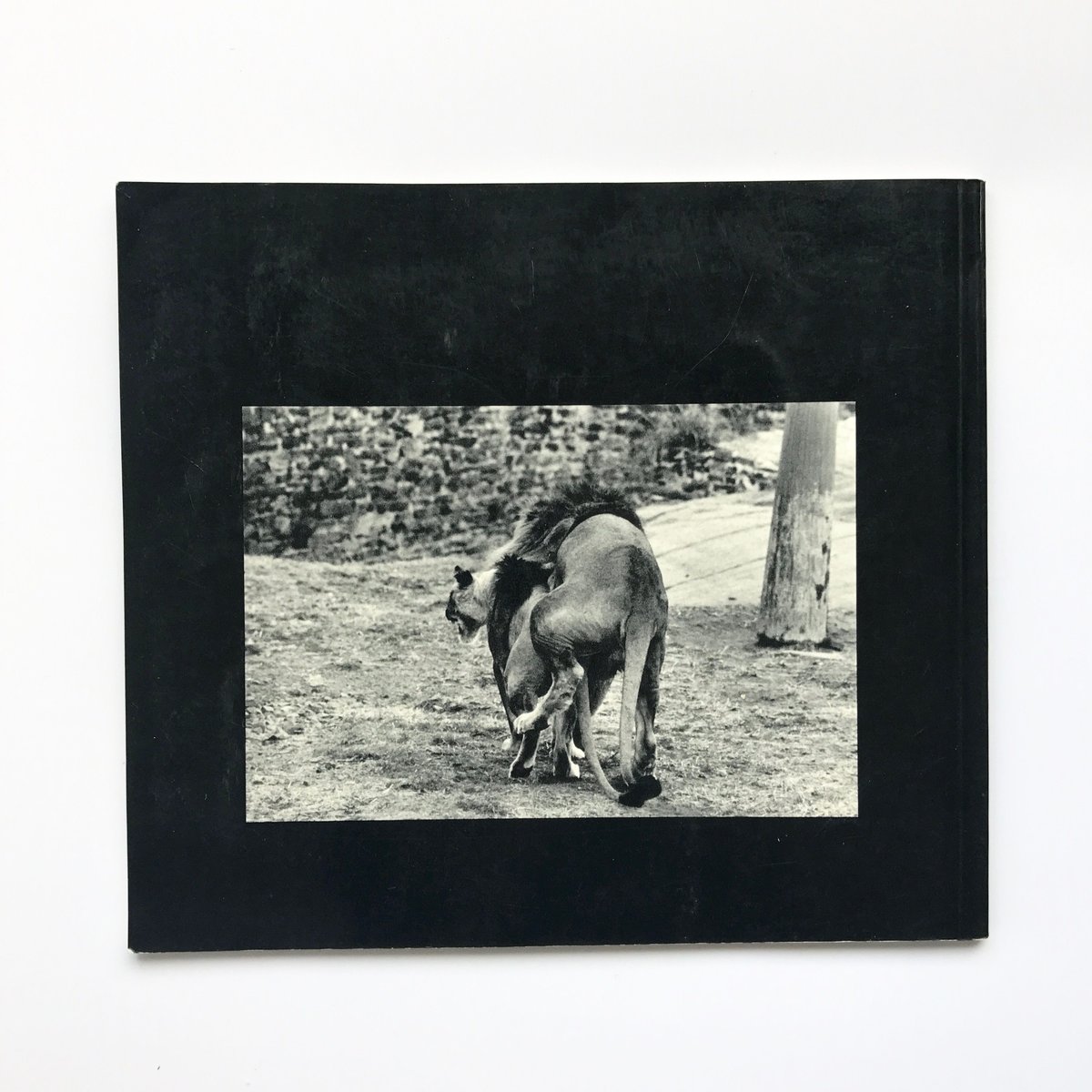 Title/ The Animals Author/ Garry Winogrand