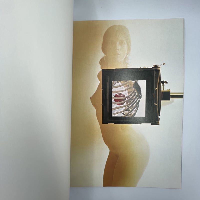 【HASKINS POSTERS】 Sam Haskins　 著者直筆サイン入 Haskins Posters - signed in publishers original folder by Sam