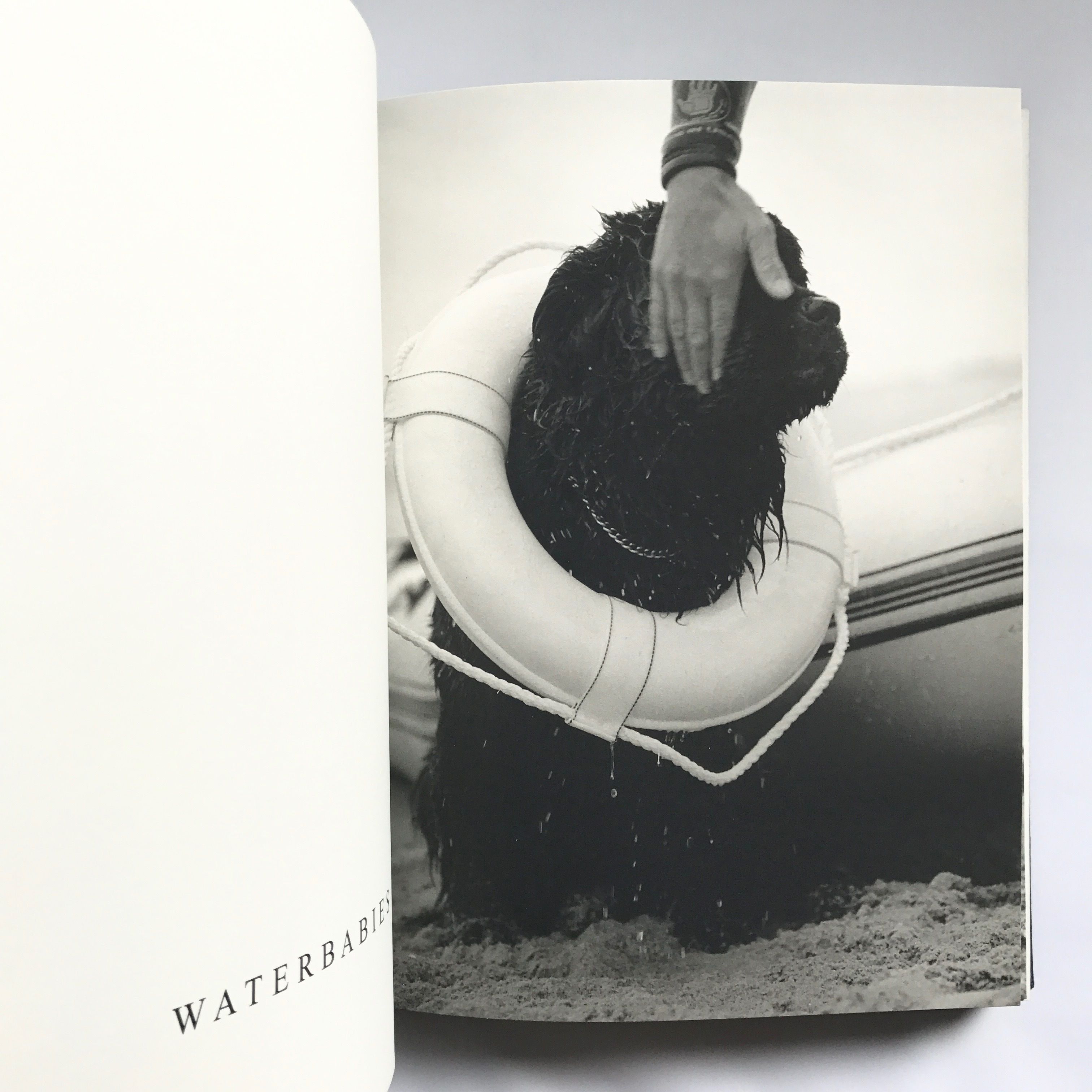 Title/Gentle Giants Author/ Bruce Weber | COWBOOKS