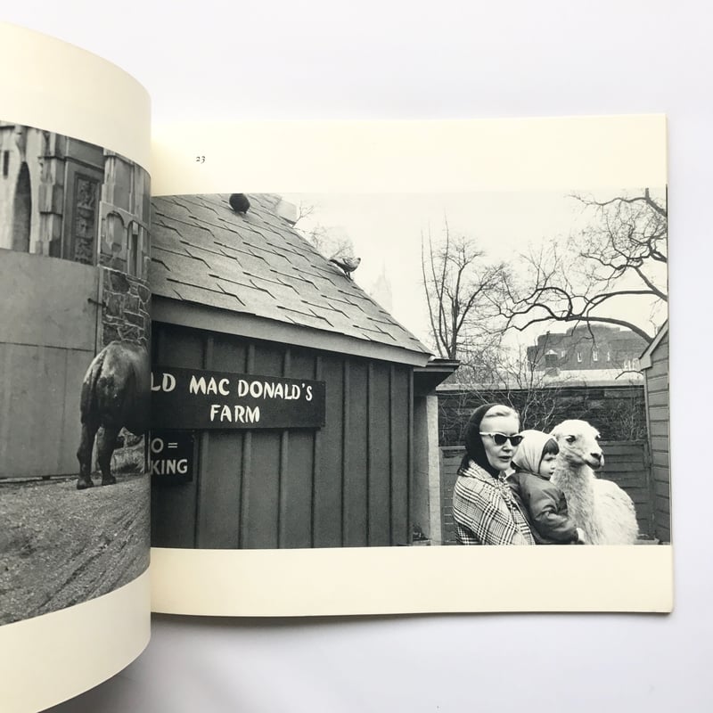 アート・デザイン・音楽 The Animals Garry Winogrand The Animals