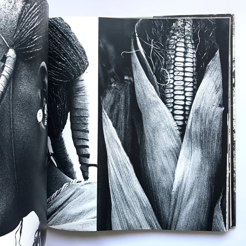 アート・デザイン・音楽 SAM HASKINS - AFRICAN IMAGE Amazon.co.jp: SAM HASKINS - AFRICAN IMAGE : おもちゃ