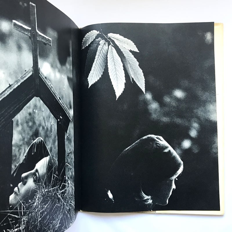 HASKINS POSTERS】 Sam Haskins 著者直筆サイン入