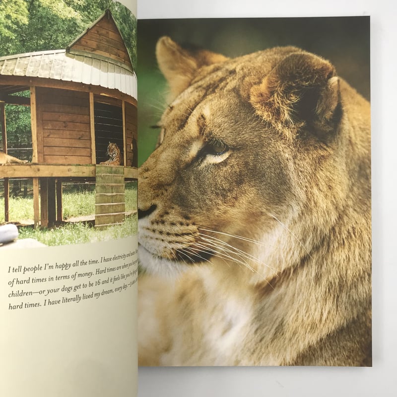 Title/ All American Fifteen Author/ Bruce Web