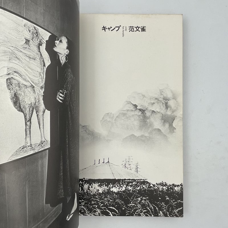 Title/ CAMP Author/ 范文雀 | COWBOOKS
