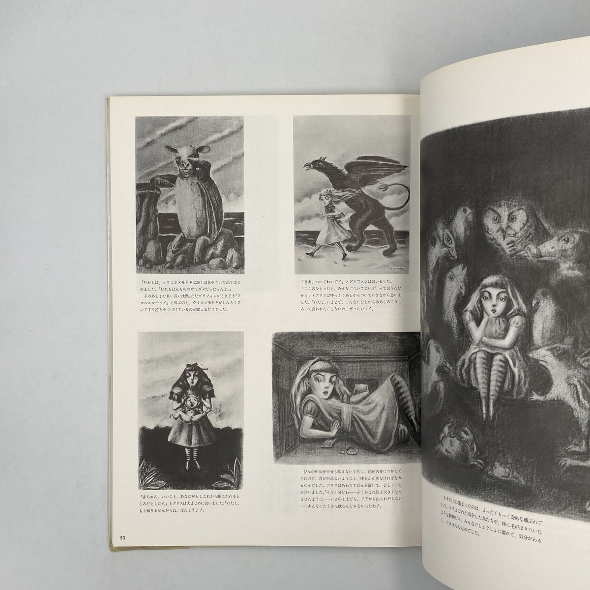 Title/ アリスの画廊 改訂新版 Author/ 金子國義 | COWBOOKS Title/ アリスの画廊 改訂新版 Author/ 金子國義 | COWBOOKS