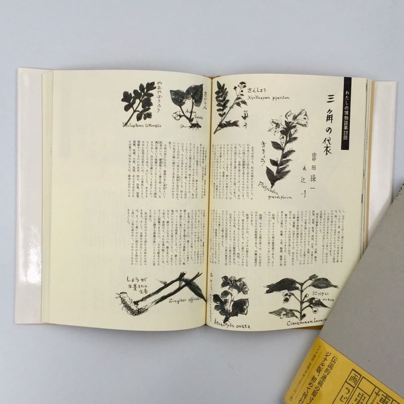 こしかたの記 (1961年)-