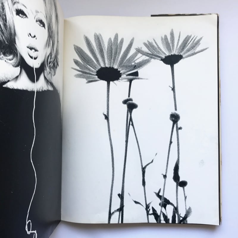 Title/ COWBOY KATE & OTHER STORIES Author/ Sa