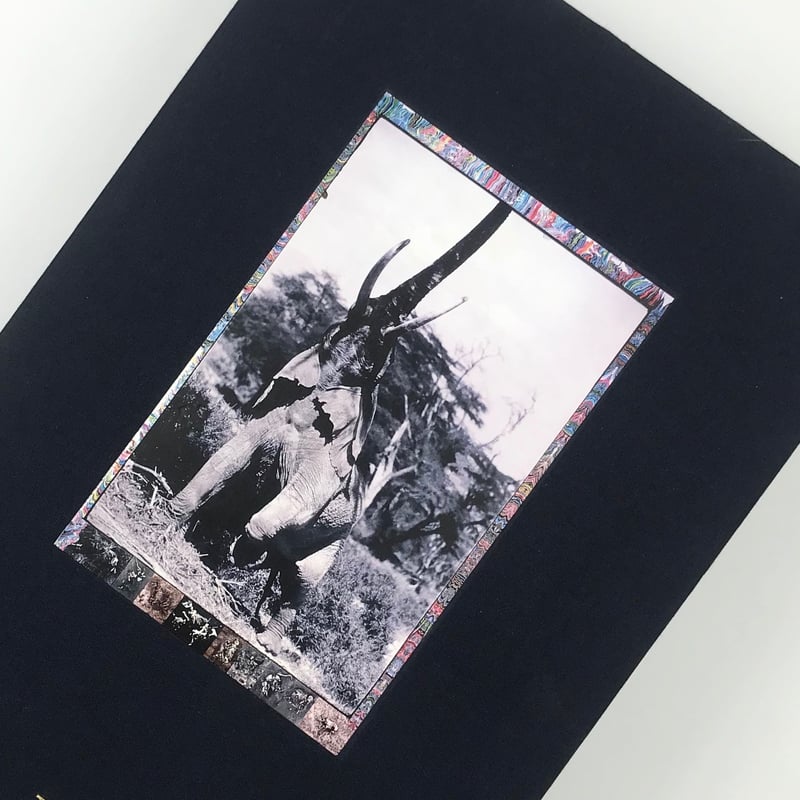 Title/ Peter Beard Author/ Peter Beard | COWBOOKS