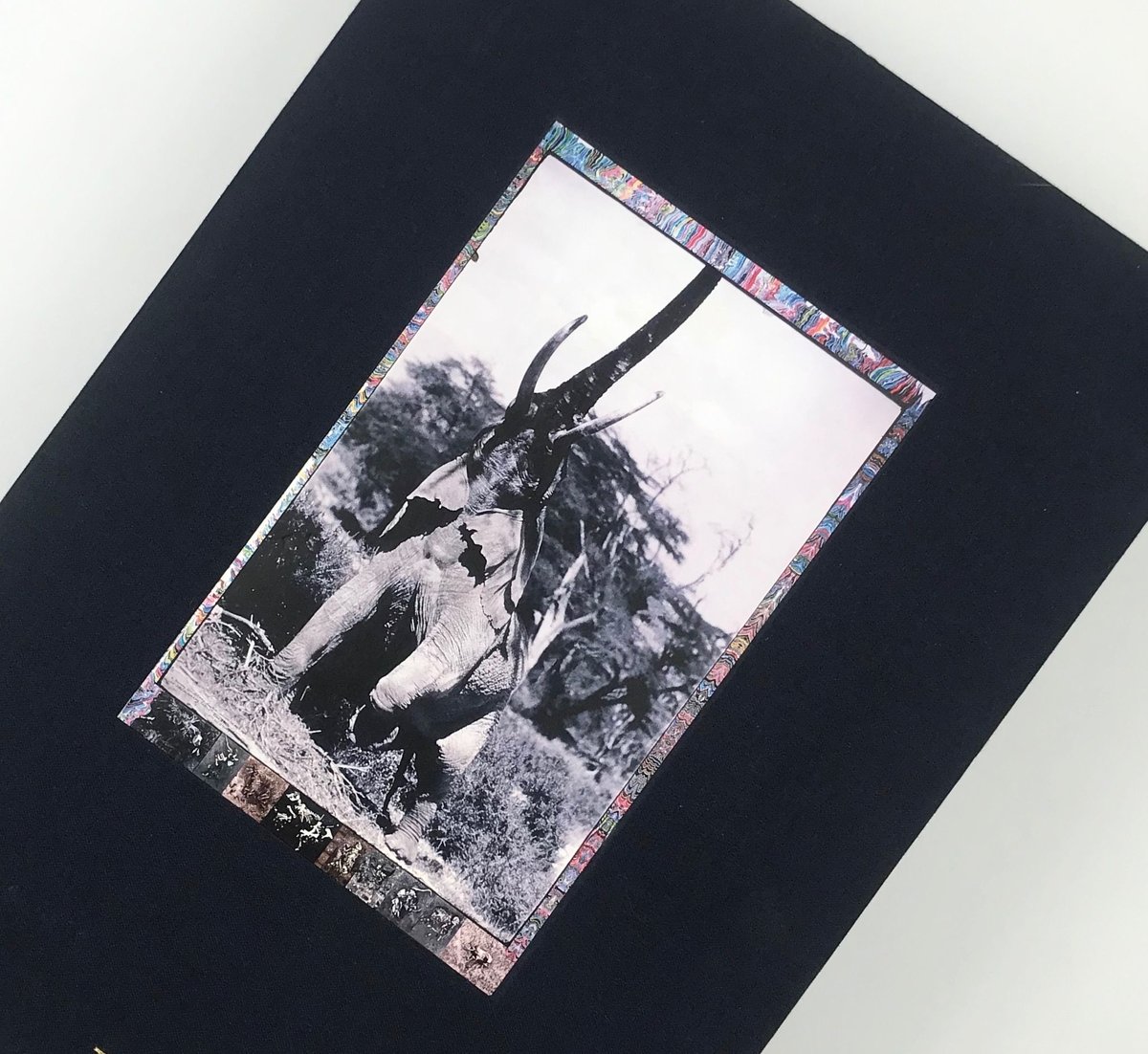 希少絶版本　Peter Beard, PB2, 2006 希少絶版本 Peter Beard, PB2, 2006 希少絶版本 Peter Beard, PB2