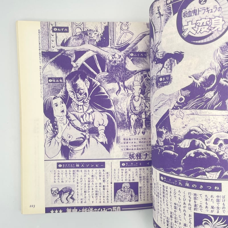 Title/ 復刻「少年マガジン」カラー大図解 Author/ 大伴昌司 | COWBOOKS
