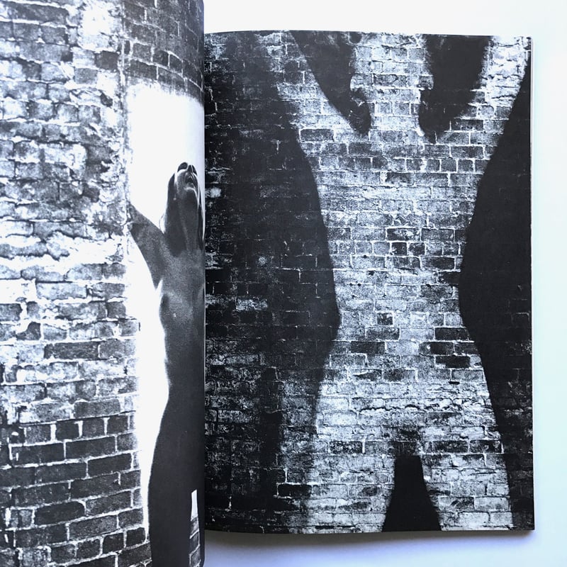 洋書 SAM HASKINS  NOVEMBER GIRL Amazon.co.jp: November Girl : Haskins, Sam: 洋書