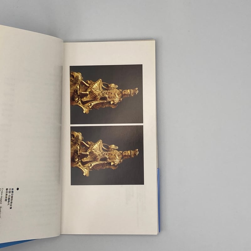 十文字美信 写真集 十文字美信 写真集 Fujisaki / 藤崎 Special Edition Bishin Jumonji