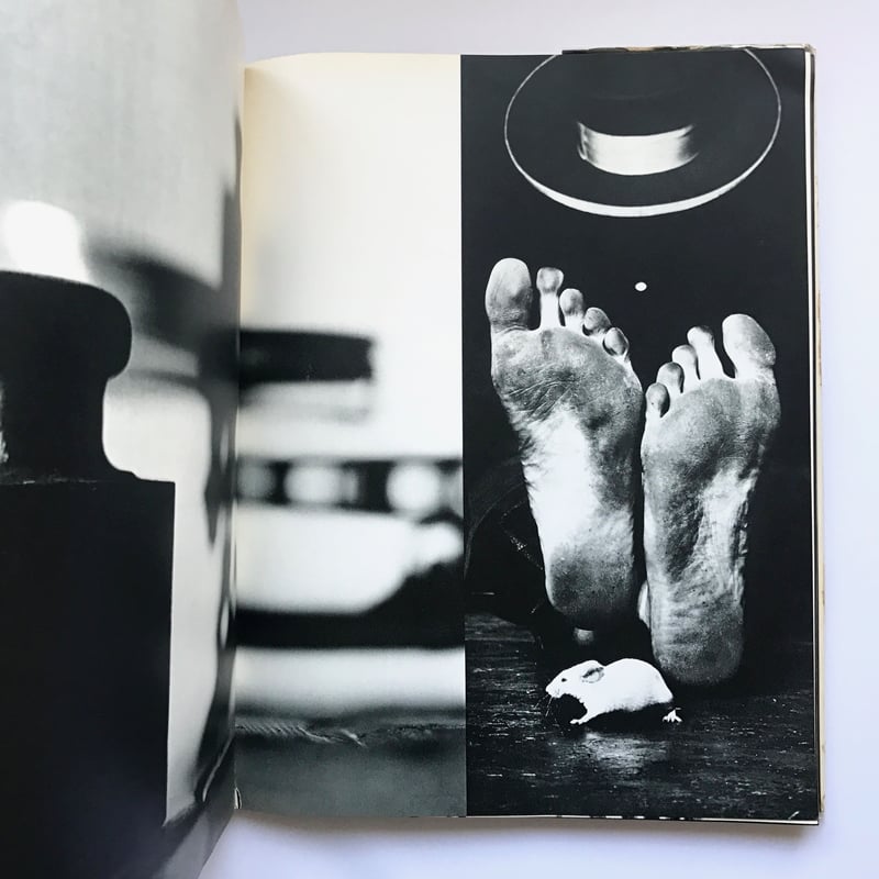 Title/ COWBOY KATE & OTHER STORIES Author/ Sa