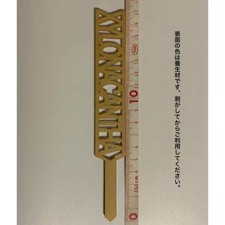 キシロナカンサ | STORES