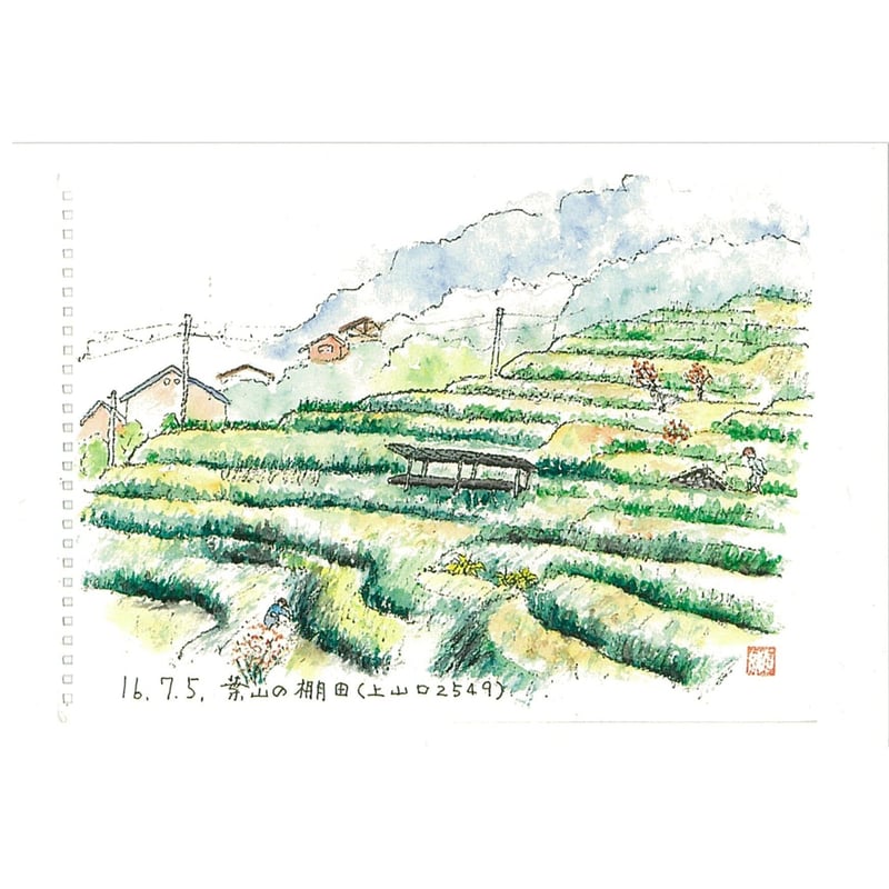 ひげじいの絵はがき 人気の葉山7枚セット | 葉山まちづくり館ブックストア