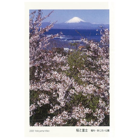 写真絵ハガキ　わたしのまち葉山　富士山10枚セット