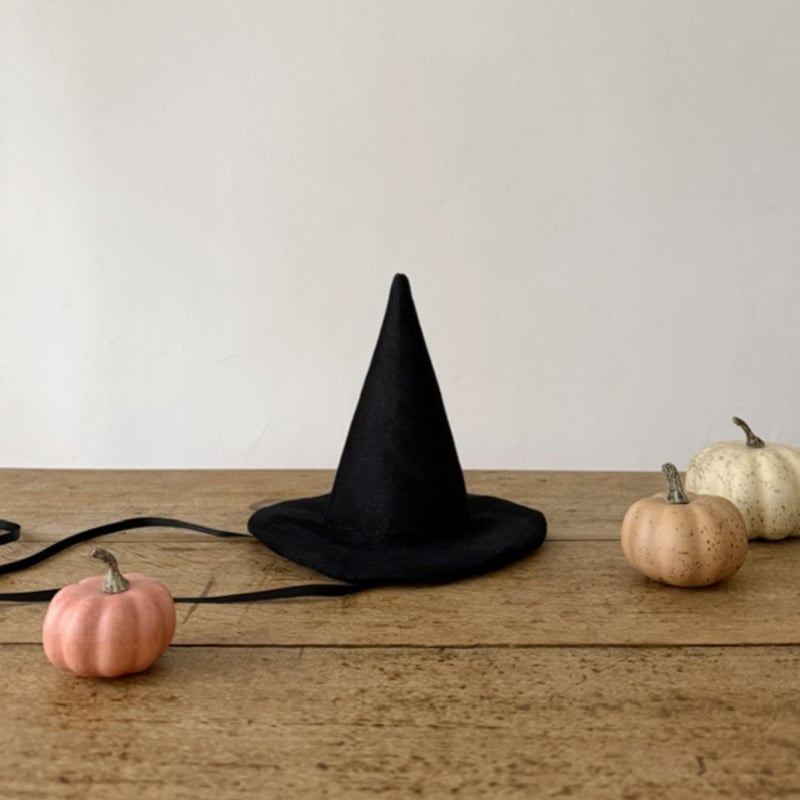 残り僅か＊Witch hat | AWINS.CO