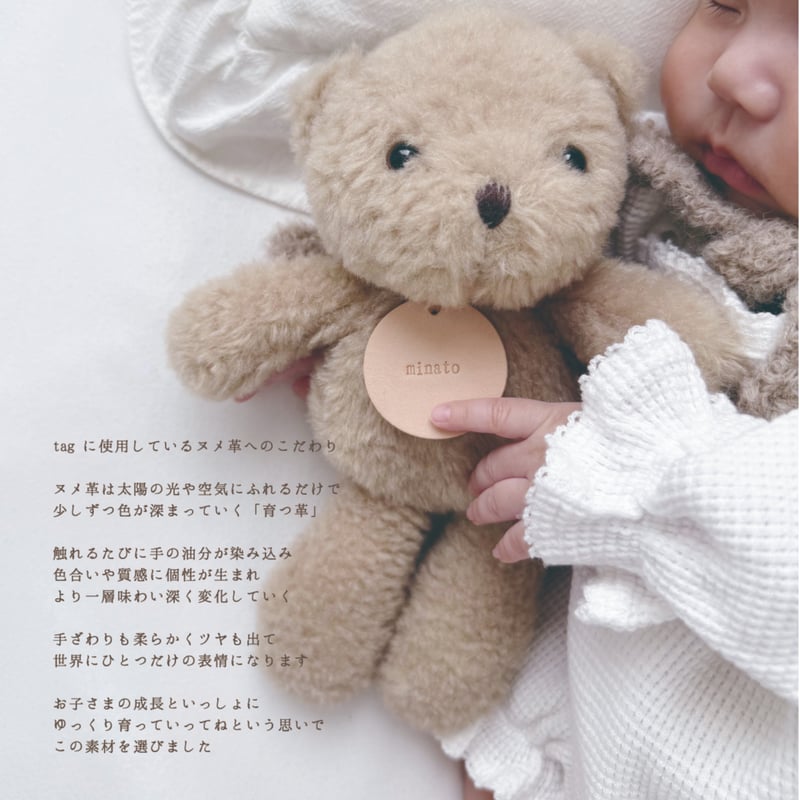 Teddy bear 