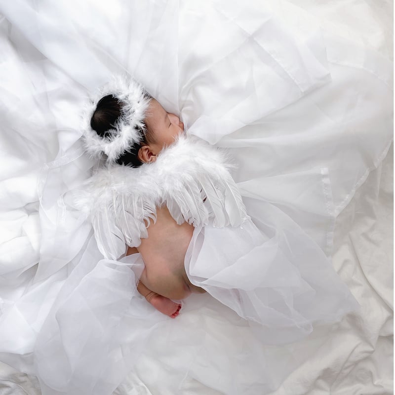 angel 's wing / 天使の羽＆フェザーバンドset | AWINS.CO