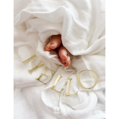 Acrylic gold letter banner / HELLO