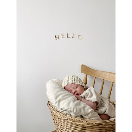 Acrylic gold letter banner / HELLO