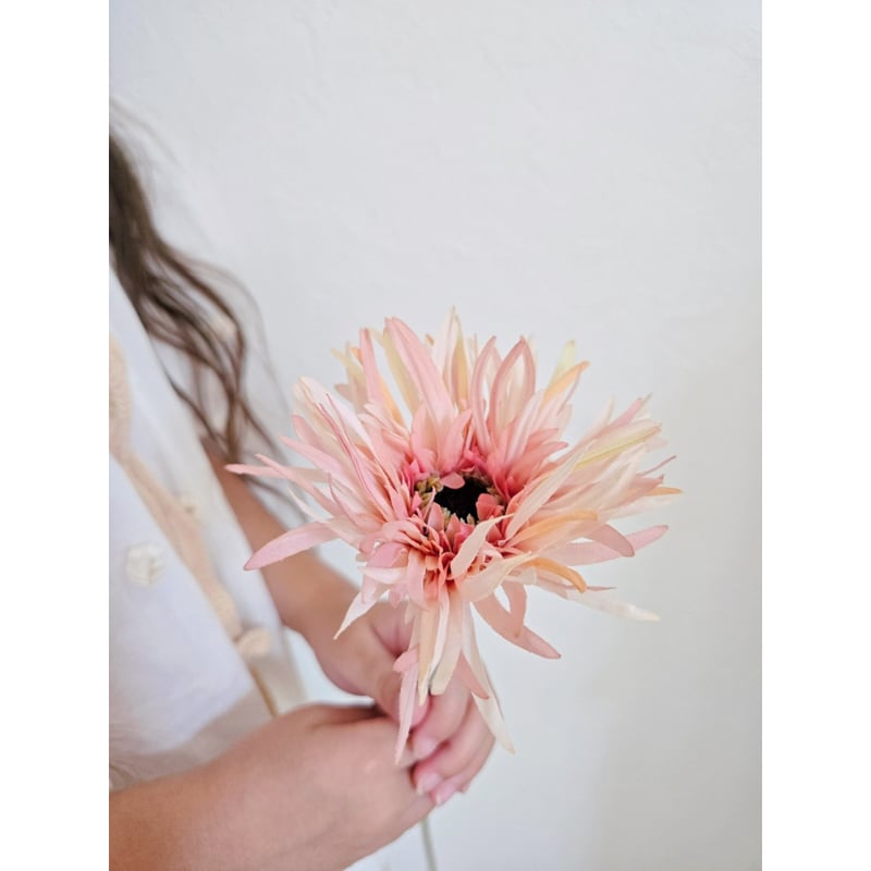 Artificial flower / spider gerbera / 2 color |