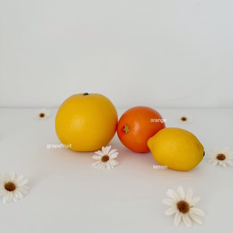 Fake fruite / 20 type | AWINS.CO