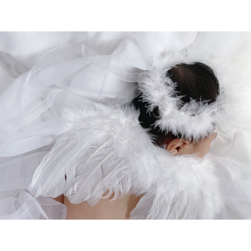 angel 's wing / 天使の羽＆フェザーバンドset | AWINS.CO
