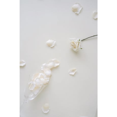 Artificial flower / rose petal / 2 color