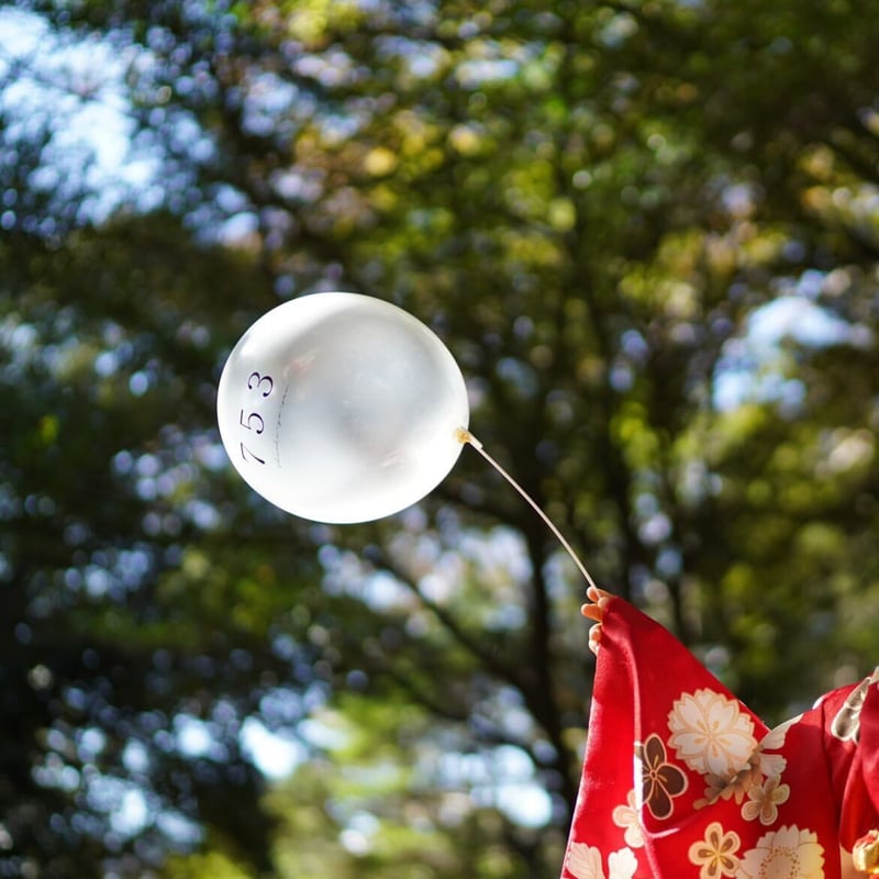 風船ページ Balloon / 七五三（ 風船用スティック2本&2個set） | AWINS.CO