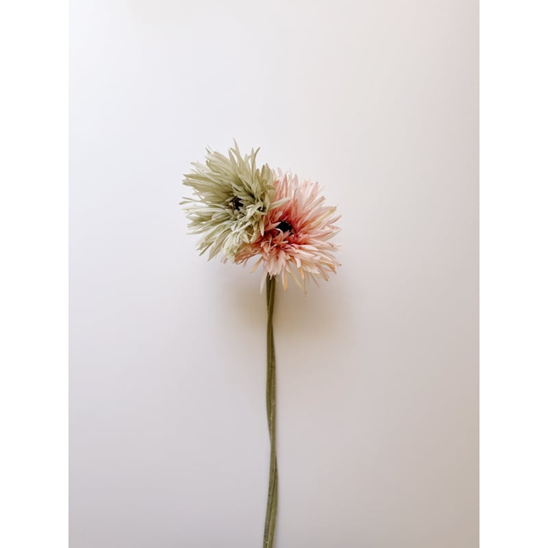Artificial flower / spider gerbera / 2 color |