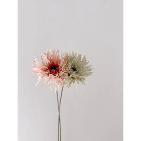 Artificial flower / spider gerbera / 2 color