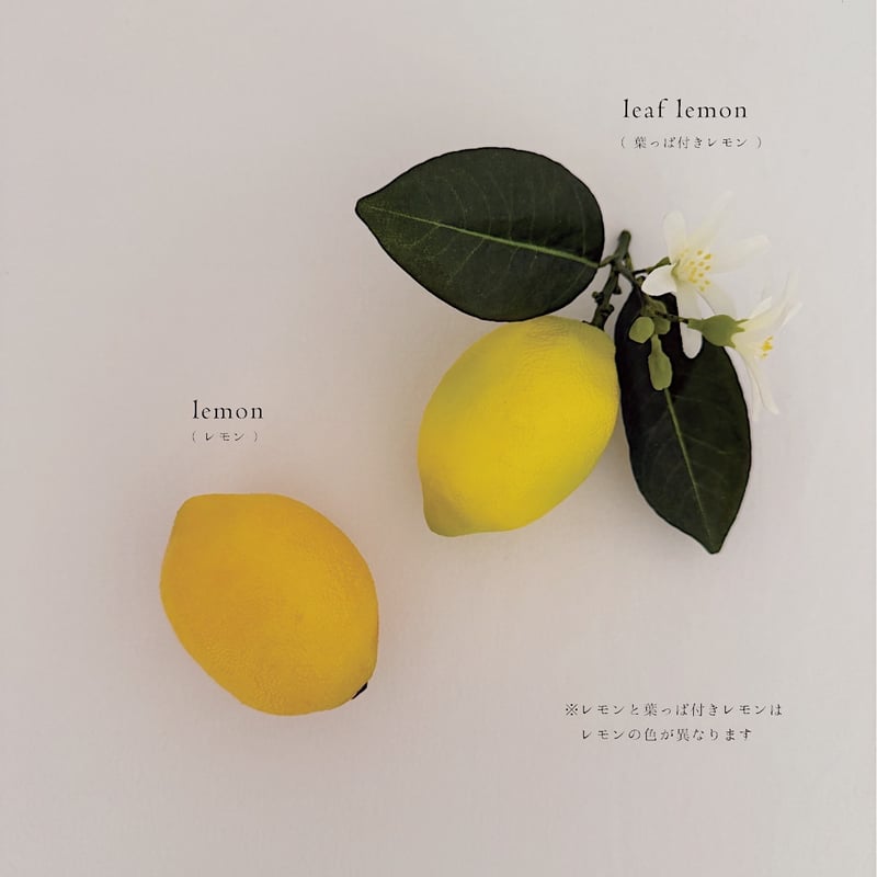 Fake fruite / 20 type | AWINS.CO