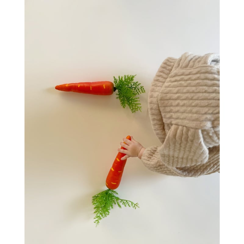 Fake carrot | AWINS.CO
