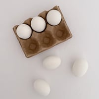 Fake 6 eggs & egg case