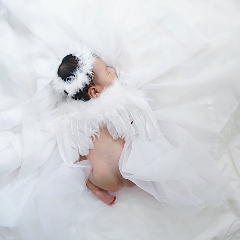 受注制作angel's  wing 天使の羽 angel 's wing / 天使の羽＆フェザーバンドset | AWINS.CO