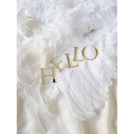 Acrylic gold letter banner / HELLO