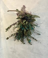 深森