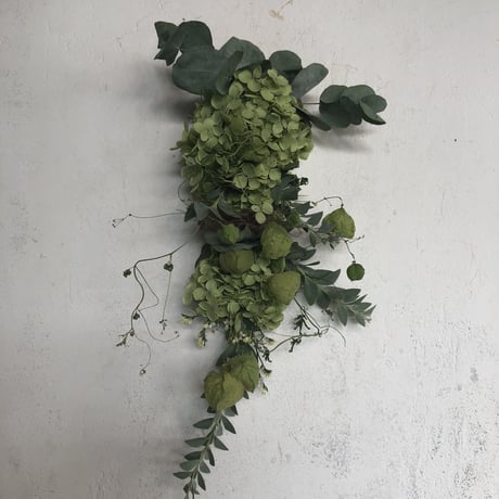 リースの定期便（1ヶ月毎）