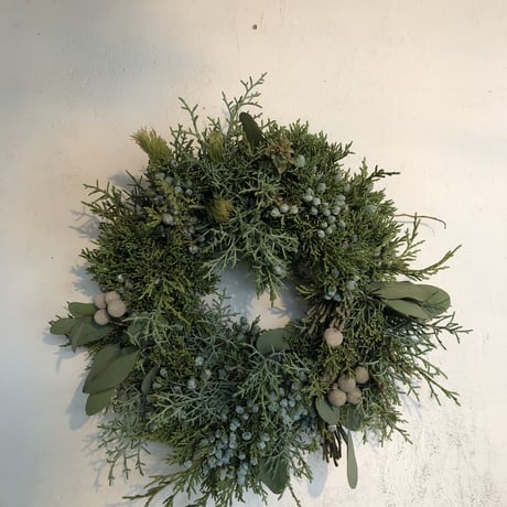 リースの定期便（1ヶ月毎）