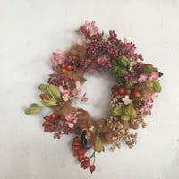 リース定期便（3ヶ月毎）