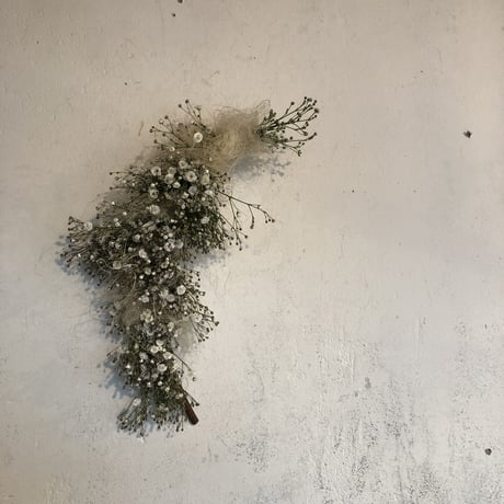 リースの定期便（1ヶ月毎）