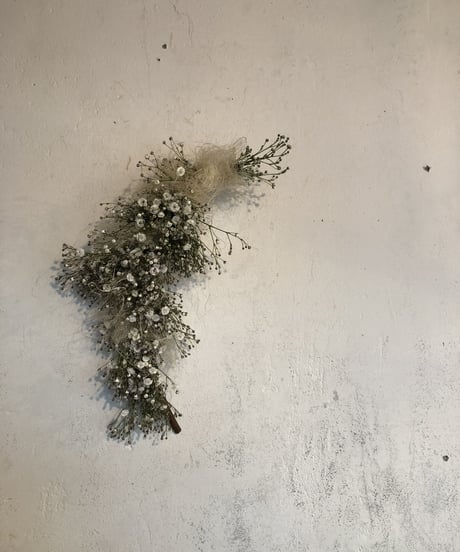 リースの定期便（1ヶ月毎）