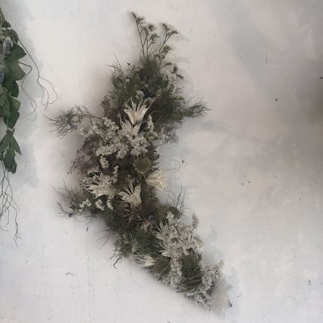 リースの定期便（1ヶ月毎）