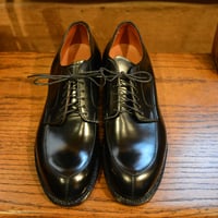 ALDEN　V-tip ＃54337