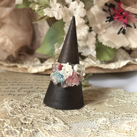 accessory 71[ge700]