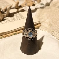 accessory 307[ge482]